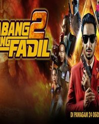 Anh Cả Fadil 2